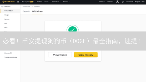 必看！币安提现狗狗币（DOGE）最全指南，速提！