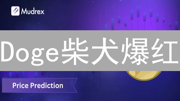 Doge柴犬爆红：表情包如何逆袭成加密货币顶流？