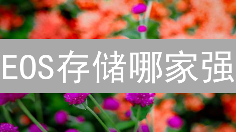 EOS存储哪家强？交易所 vs 钱包，安全方案深度对比！