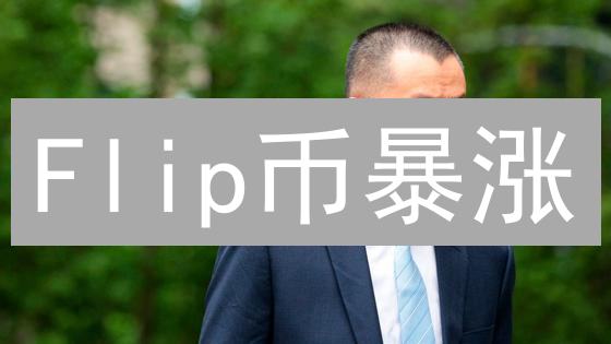 Flip币暴涨？2024年IP币价值深度剖析：技术、市场、社区全解读！