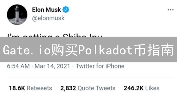 Gate.io购买Polkadot币指南：开启Web3未来之旅