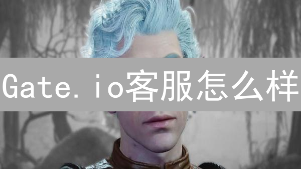 Gate.io客服怎么样？用户真实评价大揭秘！速度/专业/态度对比分析