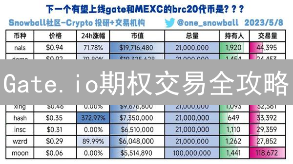 Gate.io期权交易全攻略：新手也能轻松上手？【深度解析】