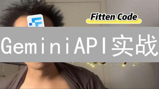 GeminiAPI实战：2024开发者高效指南，快速上手与技巧详解！