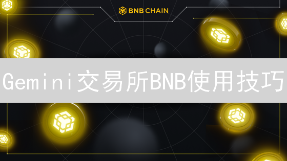 Gemini交易所BNB使用技巧：发掘币安币潜力