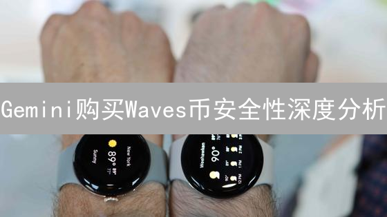 Gemini购买Waves币安全性深度分析：风险与保障