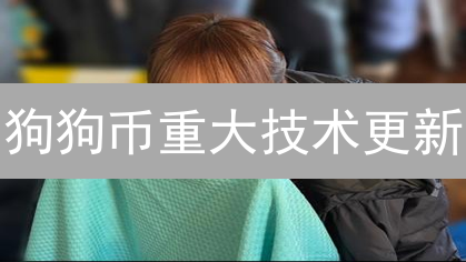 狗狗币重大技术更新：Libdogecoin优化，提升网络安全与效率！