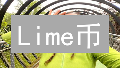 Lime币：下一个比特币？揭秘数字货币新星的崛起！