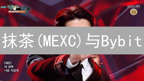 抹茶(MEXC)与Bybit：匿名交易与隐私考量深度解析