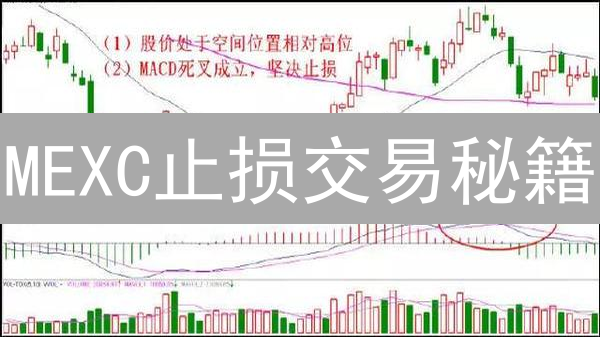 MEXC止损交易秘籍：新手也能轻松驾驭，告别爆仓危机！