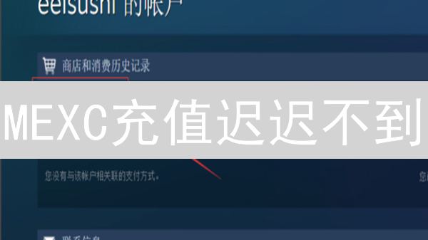 MEXC充值迟迟不到？一文教你快速解决！