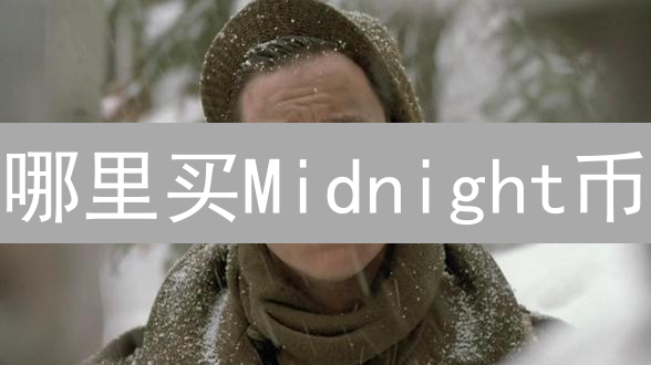 哪里买Midnight币？匿名交易未来探索