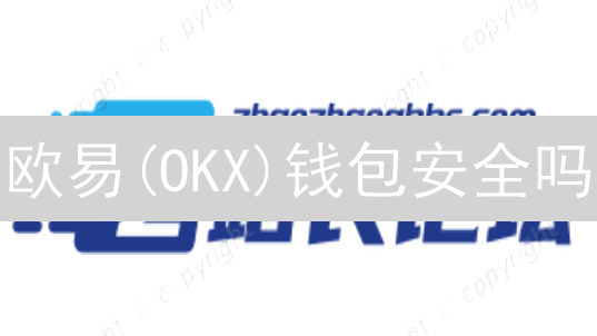 欧易(OKX)钱包安全吗？2024年终极安全策略解析，看完就懂！