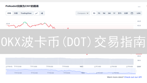 OKX波卡币(DOT)交易指南：新手入门与进阶技巧