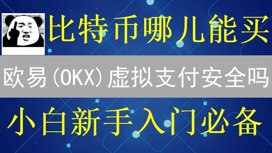 欧易(OKX)虚拟支付安全吗？新手必看：法币交易与快捷买币风险全解析！