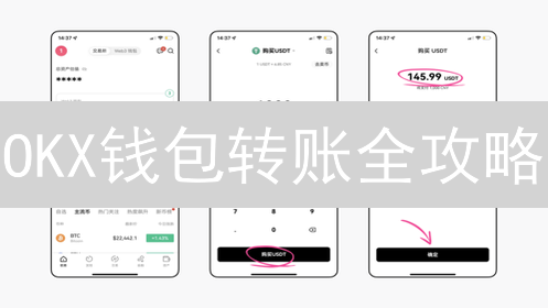 OKX钱包转账全攻略：新手必看，避免资产丢失！