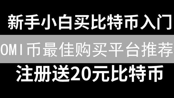 OMI币最佳购买平台推荐：安全可靠便捷之选
