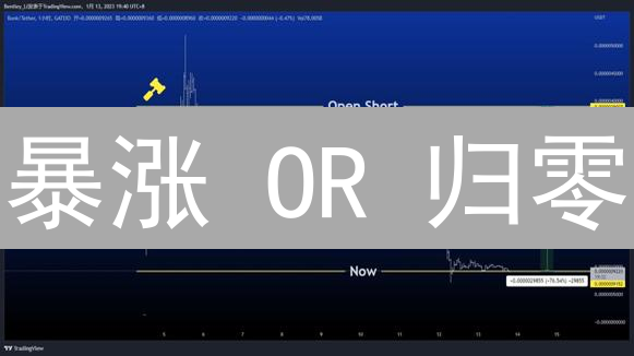 暴涨 OR 归零？小币种投资：新手必知的风险与策略！