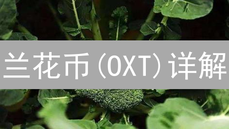 兰花币(OXT)详解：用途、原理及去中心化VPN市场