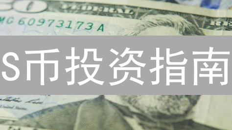 S币投资指南：2024年潜在价值与风险分析！