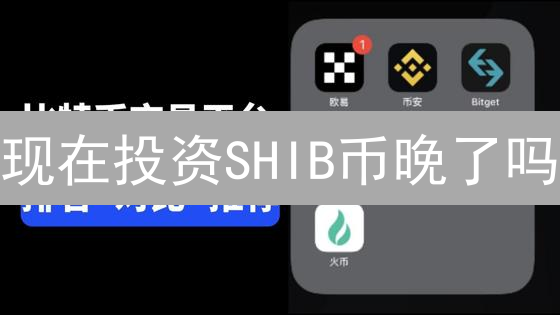 现在投资SHIB币晚了吗？2024年平台选择、风险与前景分析