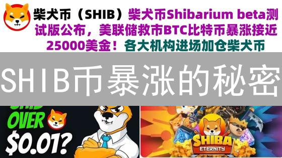 SHIB币暴涨的秘密：CBBG社群如何引爆迷因币？
