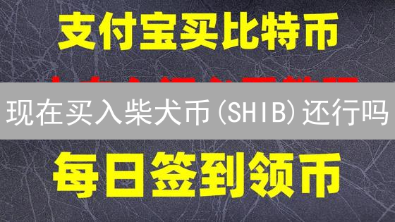 现在买入柴犬币(SHIB)还行吗？欧易(OKX)购买指南详解！