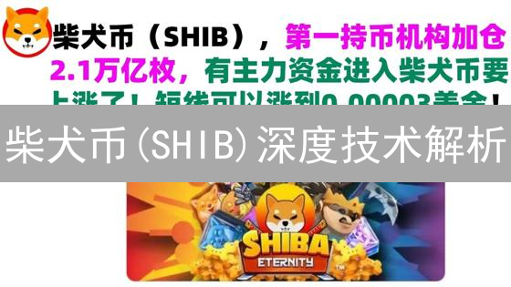 柴犬币(SHIB)深度技术解析：原理、实践与未来展望