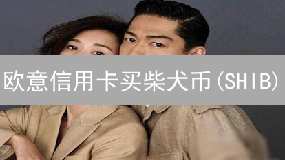 欧意信用卡买柴犬币(SHIB)：新手指南与风险提示！