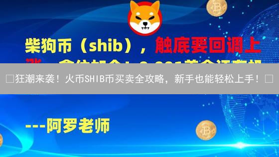 🔥狂潮来袭！火币SHIB币买卖全攻略，新手也能轻松上手！🚀