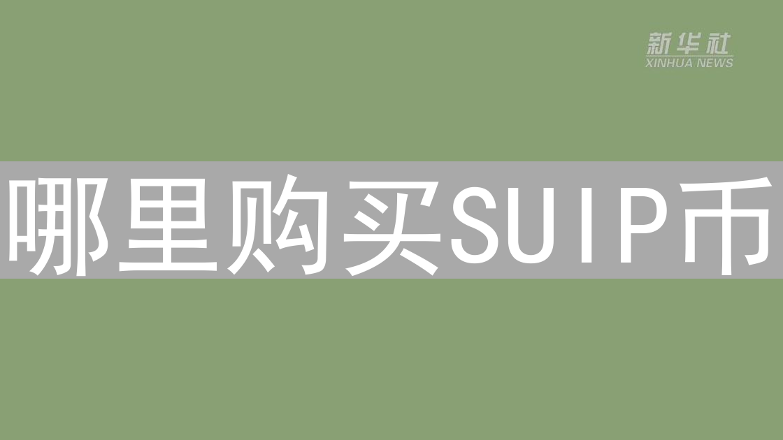 哪里购买SUIP币？详细介绍购买途径与风险