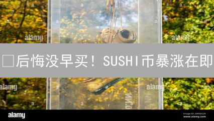 😱后悔没早买！SUSHI币暴涨在即？速看火币购买攻略！🔥