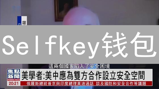 Selfkey钱包：终结KYC烦恼，掌控你的数字身份？