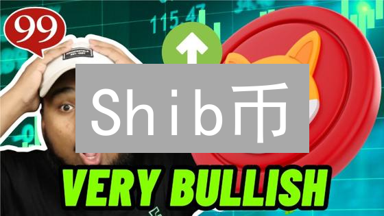 Shib币：Meme币如何对话传统金融巨头？影响分析