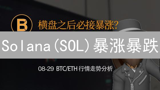 Solana(SOL)暴涨暴跌？掌握这些指标，精准评估市场表现！
