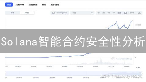 Solana智能合约安全性分析：挑战与应对策略