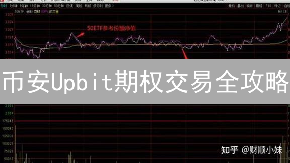 币安Upbit期权交易全攻略：新手也能轻松上手？
