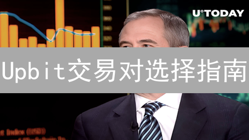 Upbit交易对选择指南：如何选？新手必看！