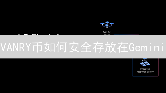 VANRY币如何安全存放在Gemini？新手保姆级教程