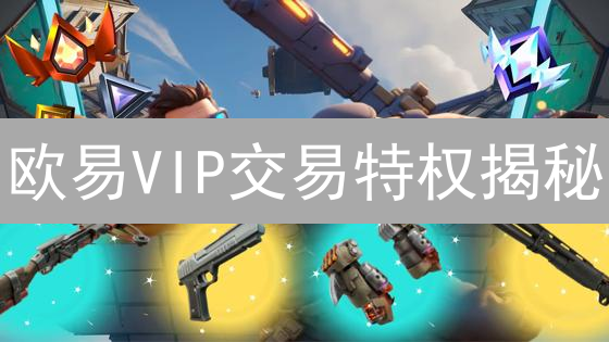 欧易VIP交易特权揭秘：如何最大化你的收益？