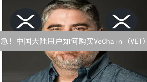 急！中国大陆用户如何购买VeChain (VET)？避坑指南！
