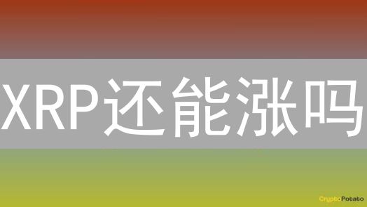 XRP还能涨吗？OKX数据揭秘未来走势！