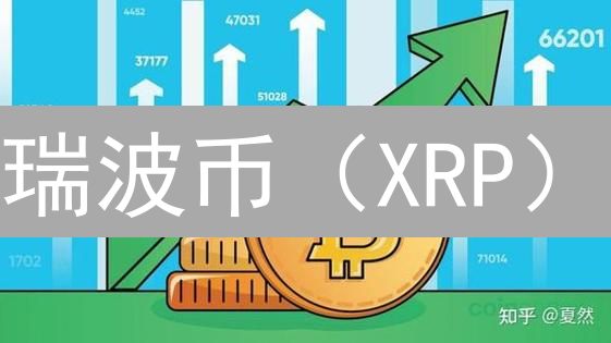 瑞波币（XRP）：挑战与机遇并存的未来前景分析